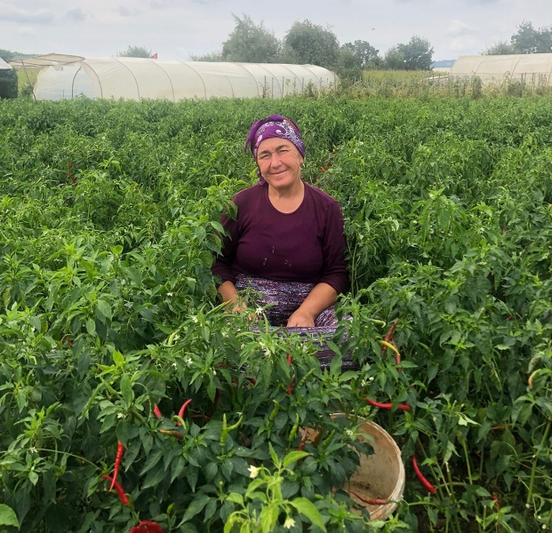 Beykozlu Kadın Çiftçi “Alım Garantili Tarım”ı Sevdi